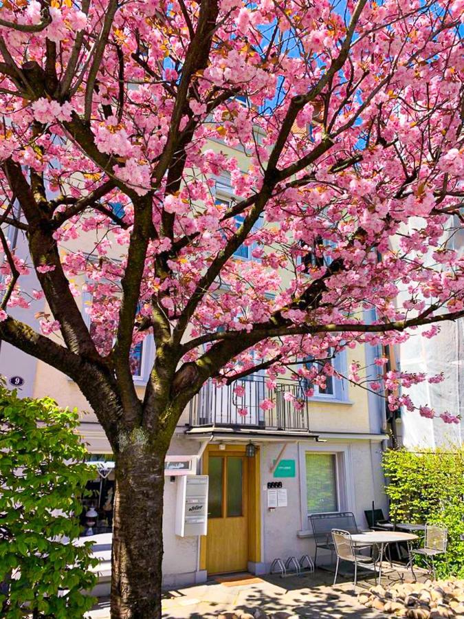 Citylodge St Gallen - 2 Min To Marktplatz St. Gallen Εξωτερικό φωτογραφία